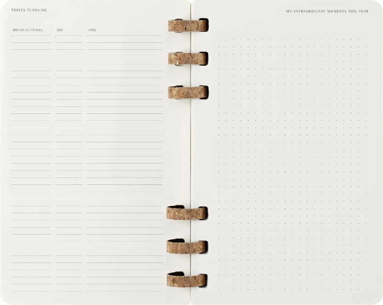 Bild: 8056999271718 | Moleskine 12 Monate Planer mit Spiralbindung, L/A5 | Buch | 200 S.