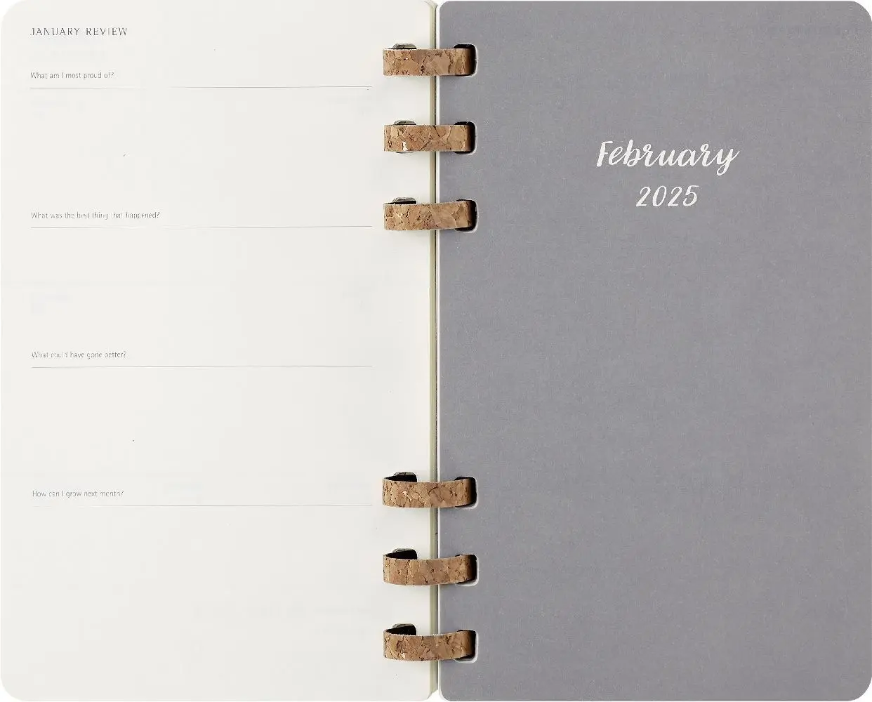 Bild: 8056999271718 | Moleskine 12 Monate Planer mit Spiralbindung, L/A5 | Buch | 200 S.