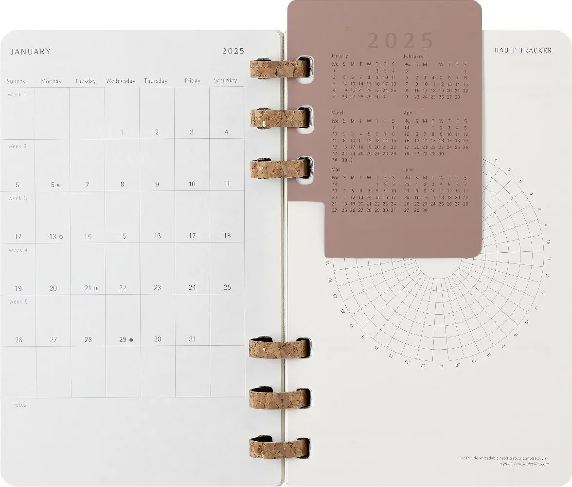 Bild: 8056999271718 | Moleskine 12 Monate Planer mit Spiralbindung, L/A5 | Buch | 200 S.