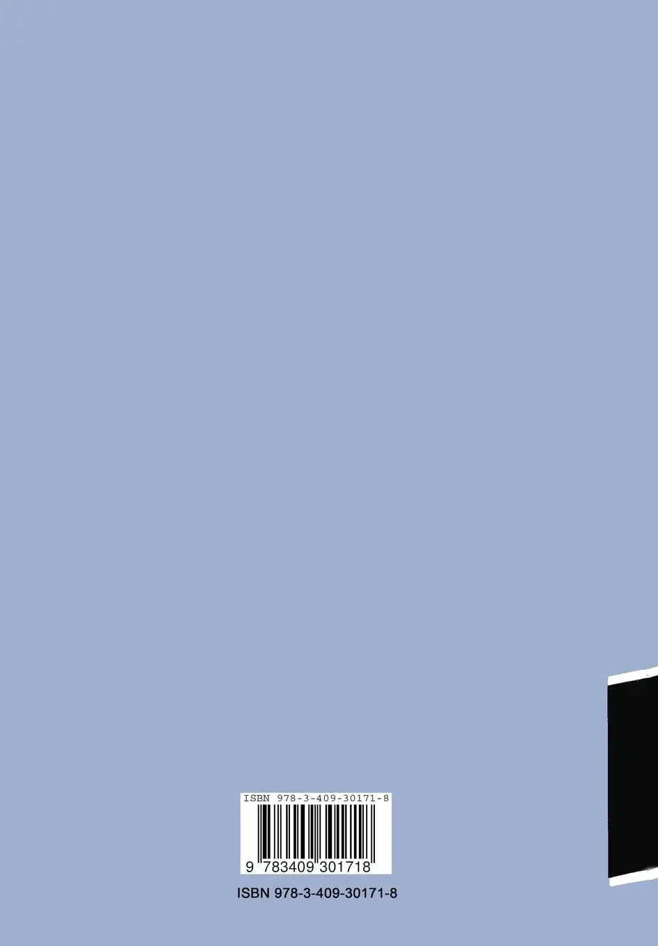 Rückseite: 9783409301718 | Management und EDV | Erich A. Tertilt | Taschenbuch | xv | Deutsch