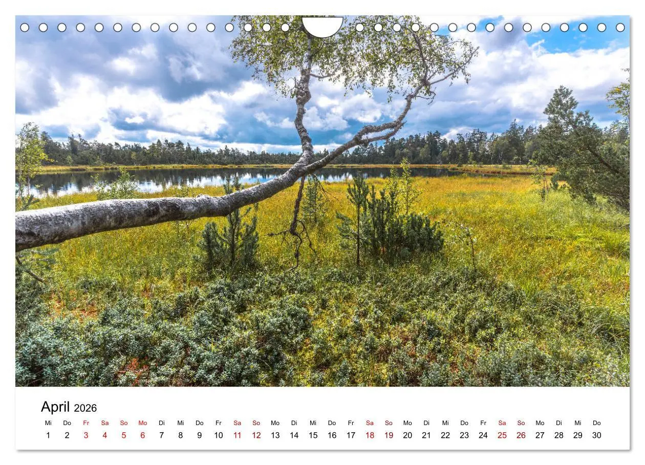 Bild: 9783457751718 | Schwarzwald, Seen und Hochmoore (Wandkalender 2026 DIN A4 quer),...