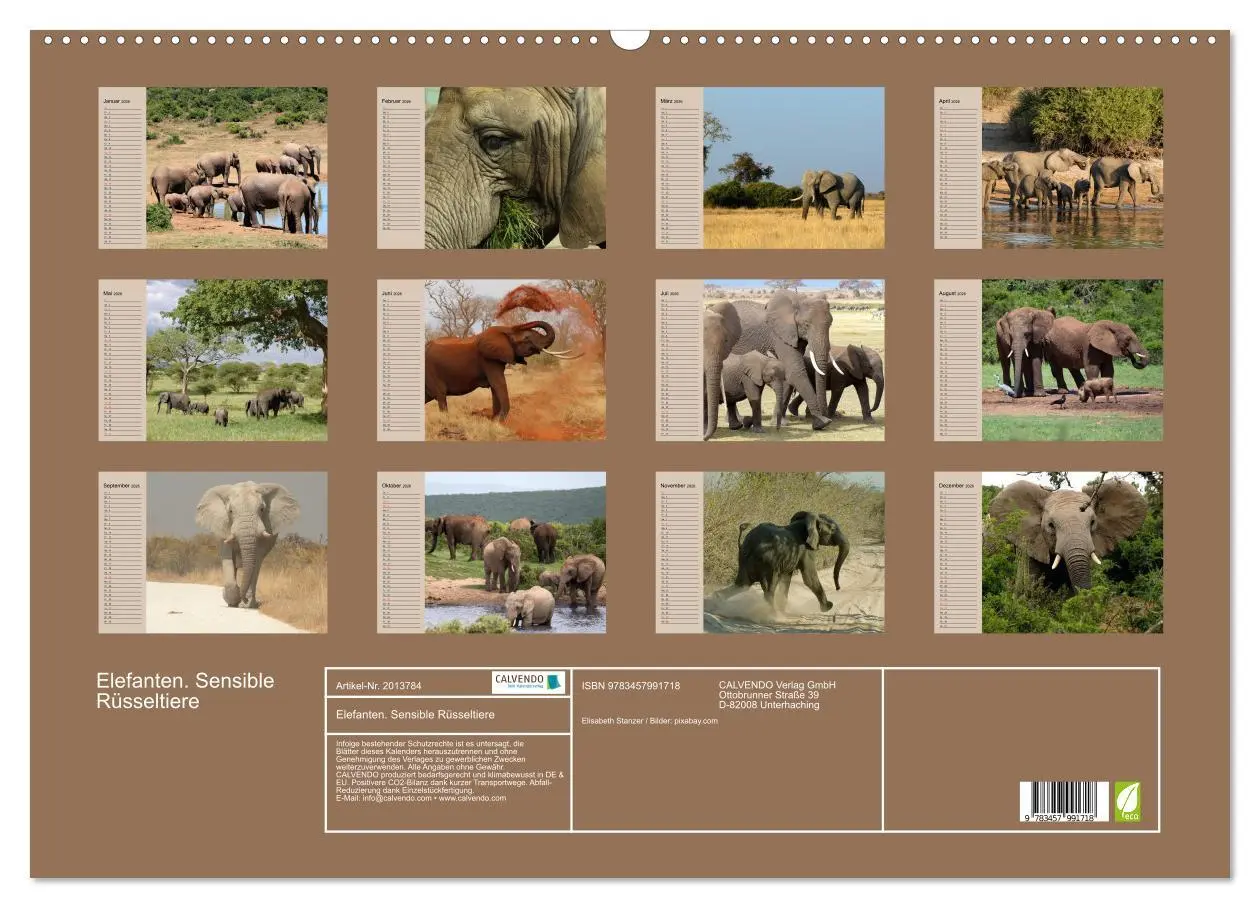 Bild: 9783457991718 | Elefanten. Sensible Rüsseltiere (Wandkalender 2026 DIN A2 quer),...