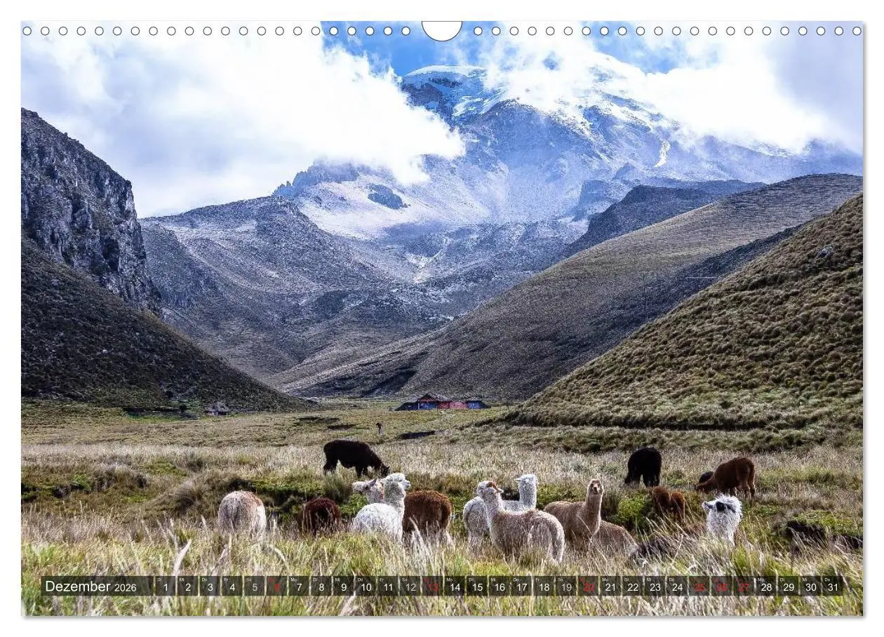 Bild: 9783516081718 | Ecuador 2026 Zwischen Hochland und Küste (Wandkalender 2026 DIN A3...