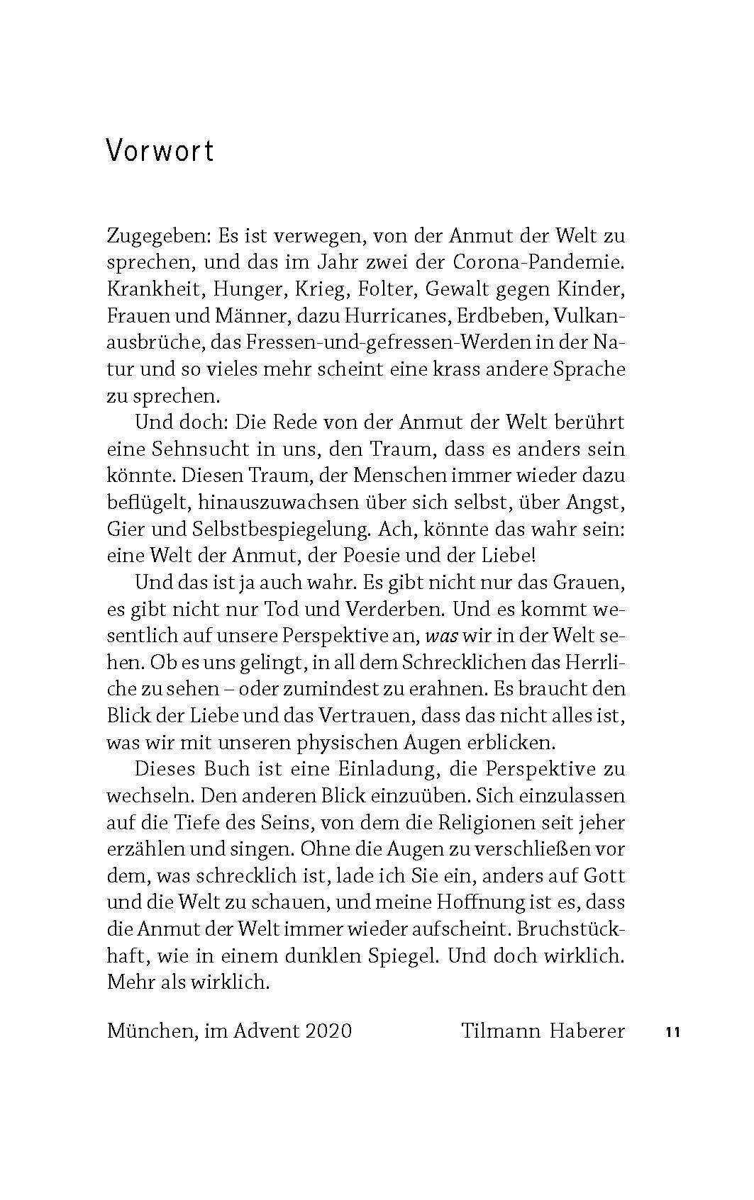 Bild: 9783579071718 | Von der Anmut der Welt | Entwurf einer integralen Theologie | Haberer