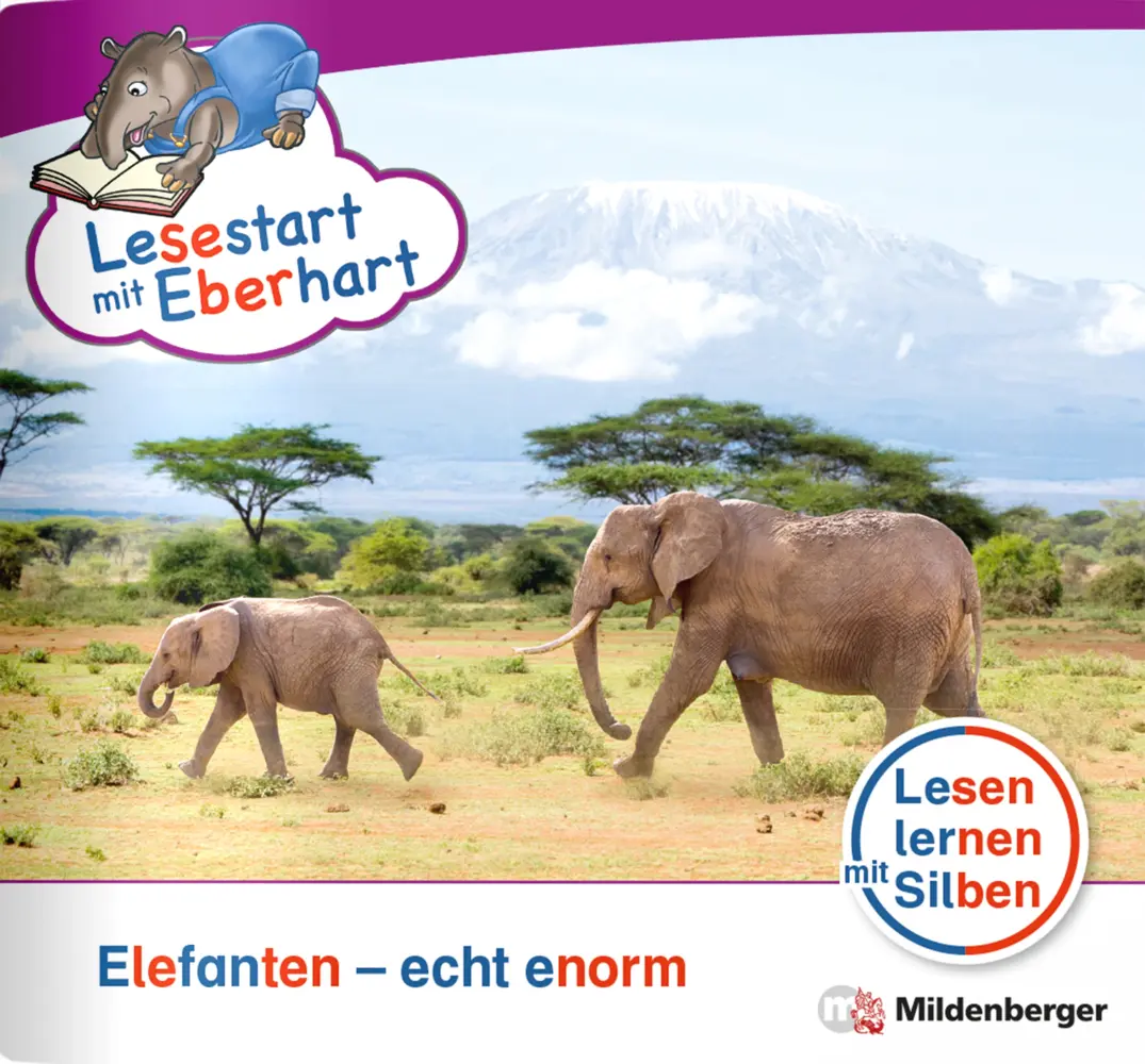 Cover: 9783619041718 | Lesestart mit Eberhart: Elefanten - echt enorm | Brandau (u. a.)