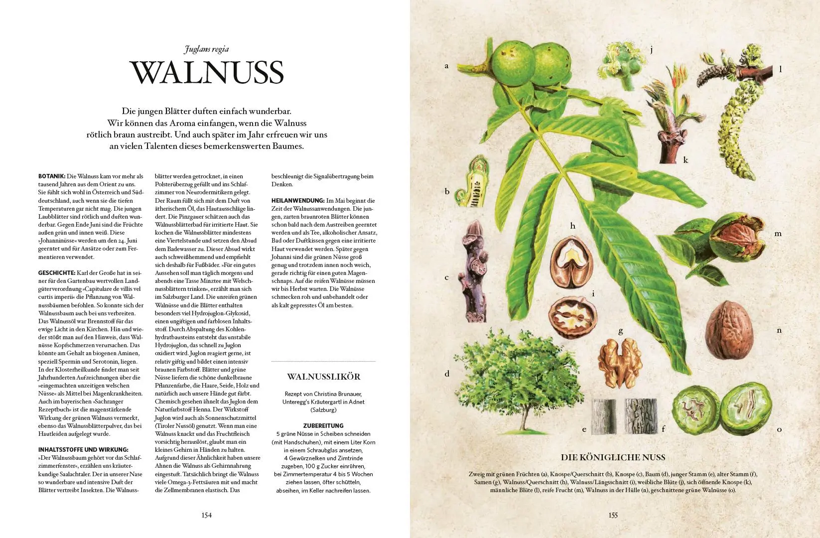 Bild: 9783710401718 | Die Natur-Apotheke | Karin Buchart (u. a.) | Buch | 196 S. | Deutsch