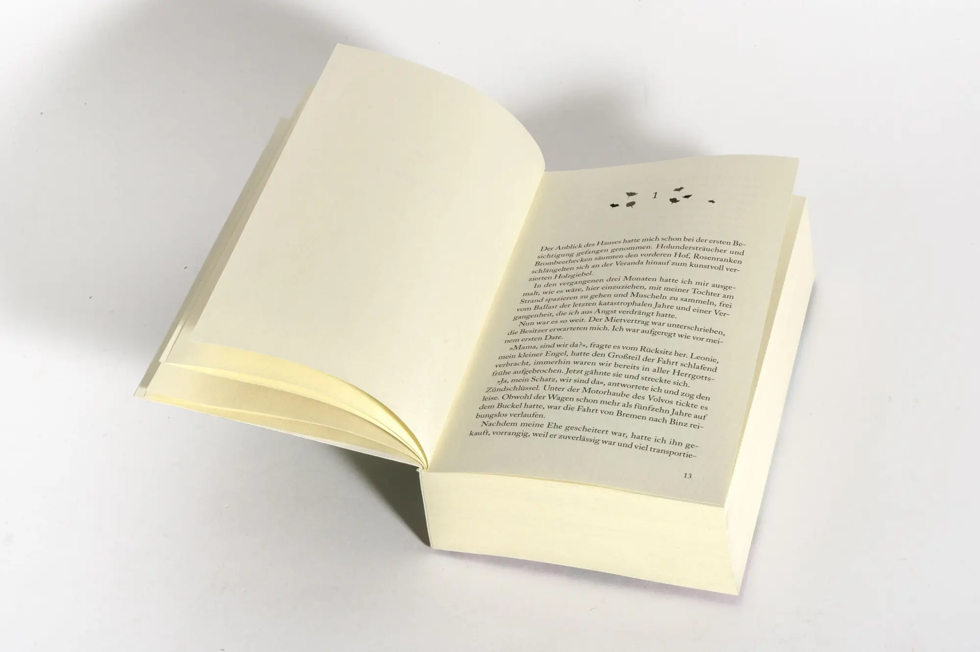 Bild: 9783328111818 | Die Sturmrose | Roman | Corina Bomann | Taschenbuch | 560 S. | Deutsch