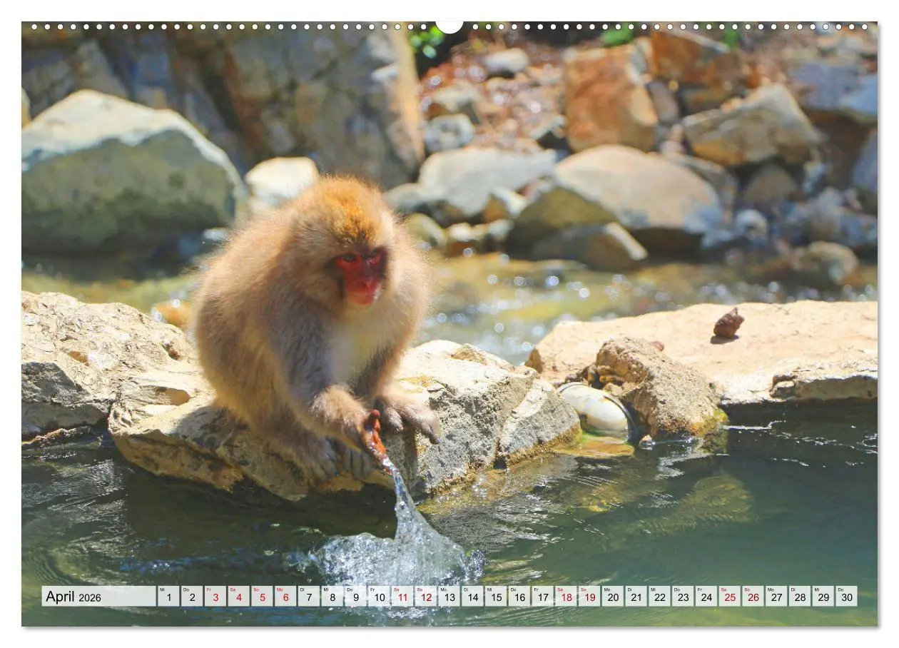 Bild: 9783457671818 | Japan das Land der aufgehenden Sonne (Wandkalender 2026 DIN A2...