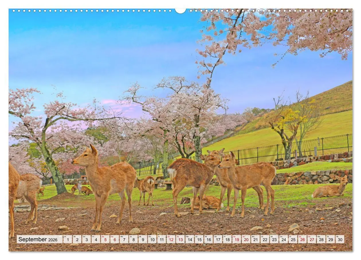 Bild: 9783457671818 | Japan das Land der aufgehenden Sonne (Wandkalender 2026 DIN A2...