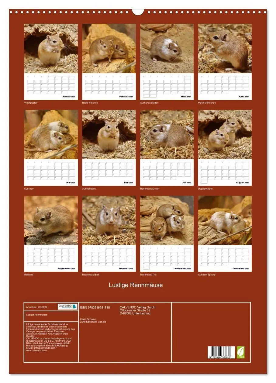 Bild: 9783516381818 | Lustige Rennmäuse (Wandkalender 2026 DIN A2 hoch), CALVENDO...