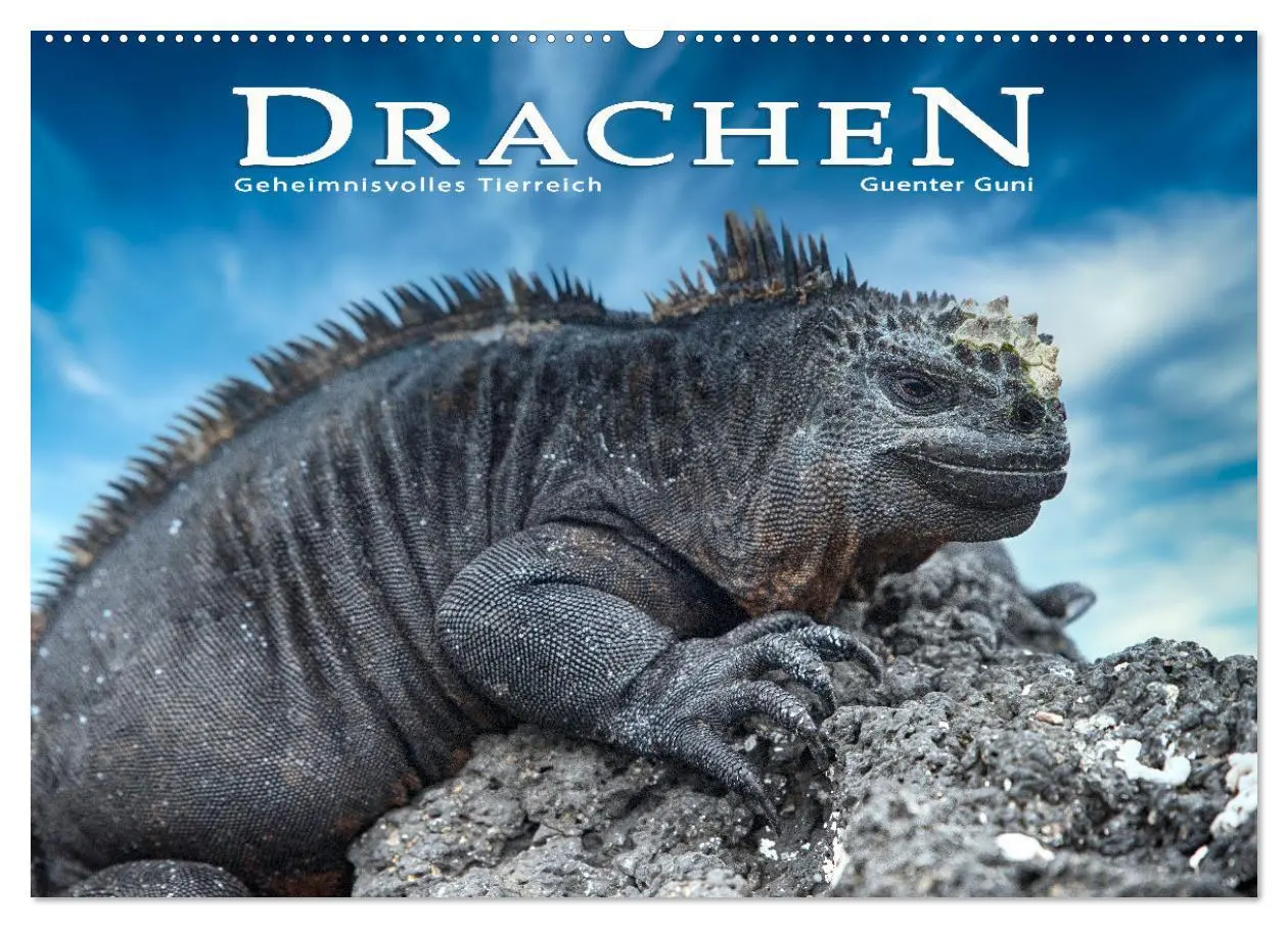 Cover: 9783457591918 | Drachen: Geheimnisvolles Tierreich (Wandkalender 2026 DIN A2 quer),...