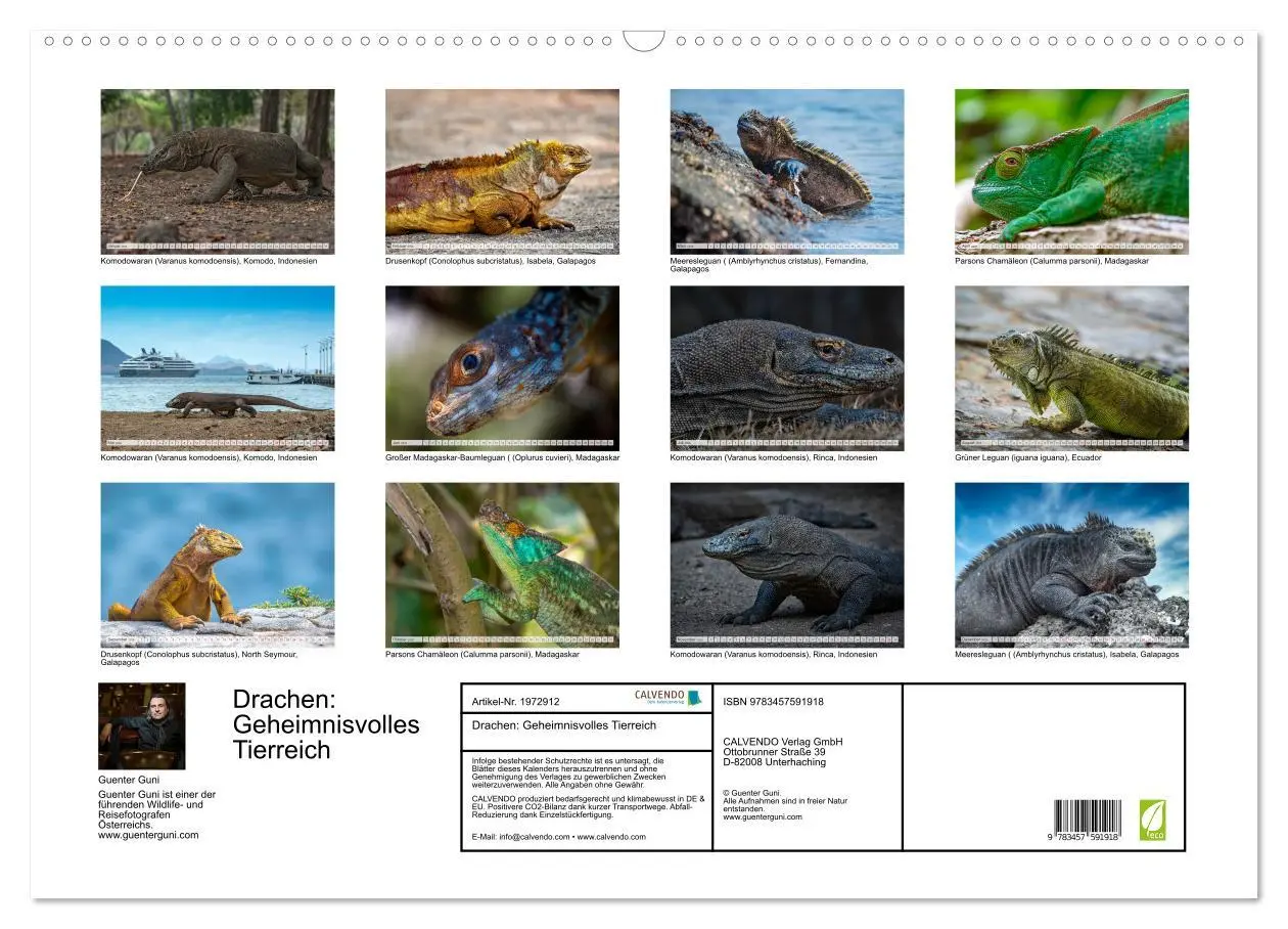 Bild: 9783457591918 | Drachen: Geheimnisvolles Tierreich (Wandkalender 2026 DIN A2 quer),...