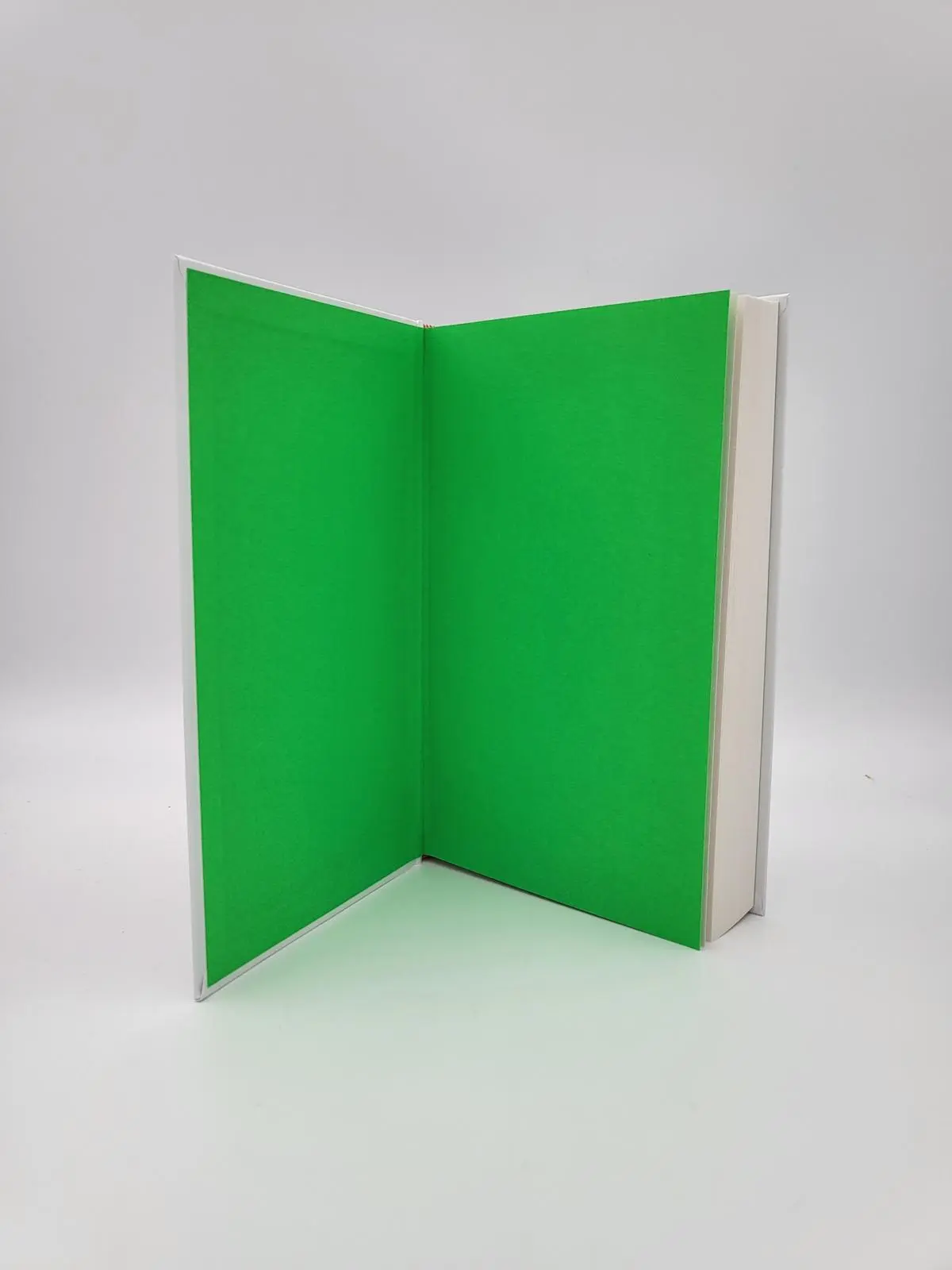 Bild: 9783492071918 | Toxic Man | Frédéric Schwilden | Buch | 288 S. | Deutsch | 2023