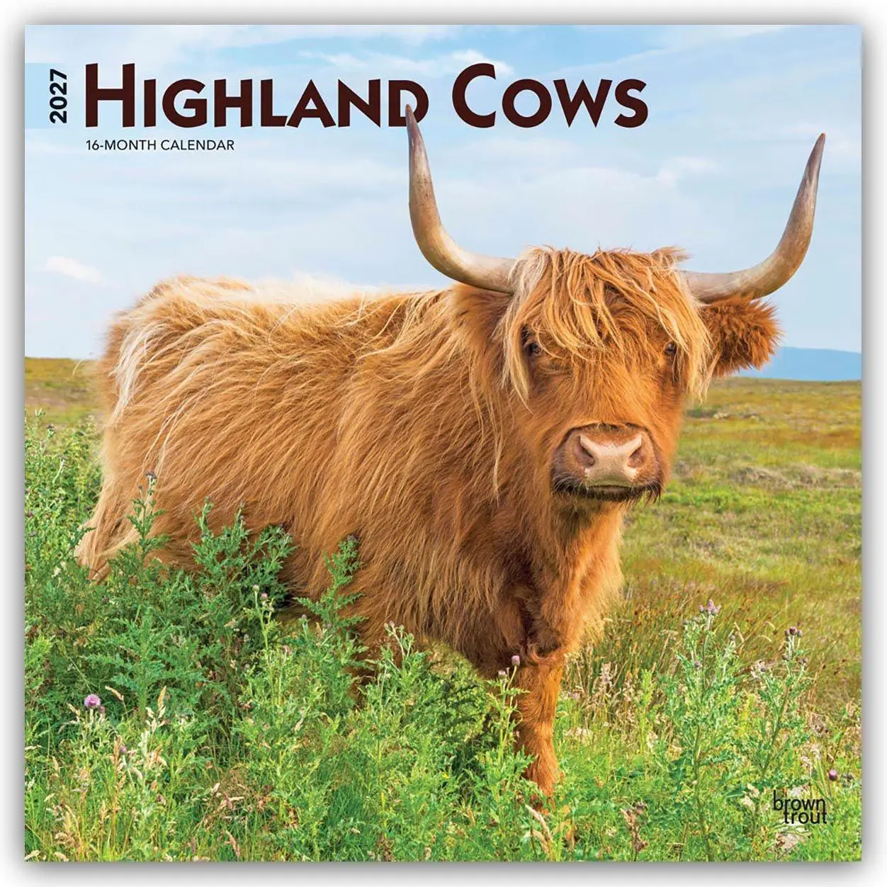 Cover: 9798330711918 | Highland Cows - Hochlandrinder 2027 - 16-Monatskalender | Publishers