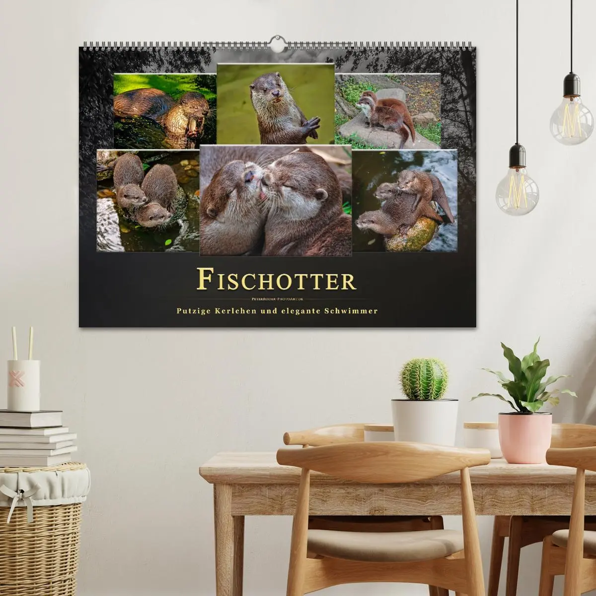 Bild: 9783457862018 | Fischotter - putzige Kerlchen und elegante Schwimmer (Wandkalender...