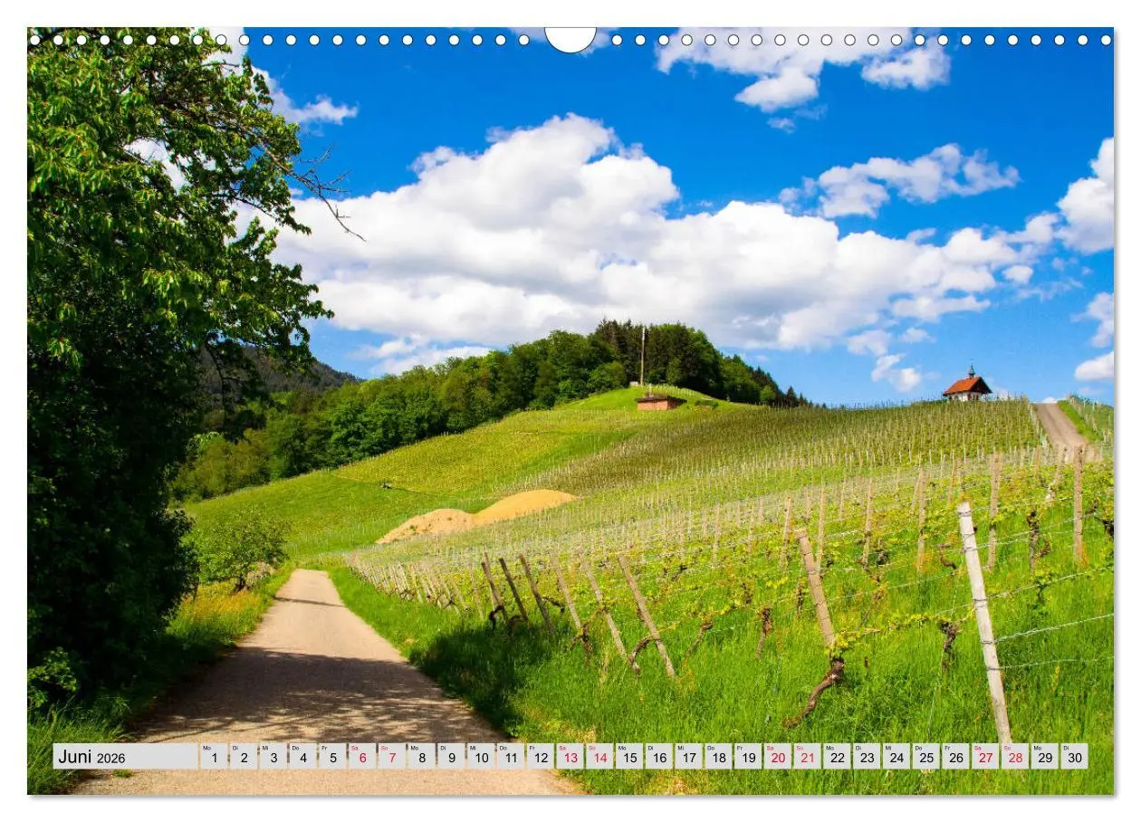 Bild: 9783457932018 | Zauberhaftes Kinzigtal (Wandkalender 2026 DIN A3 quer), CALVENDO...