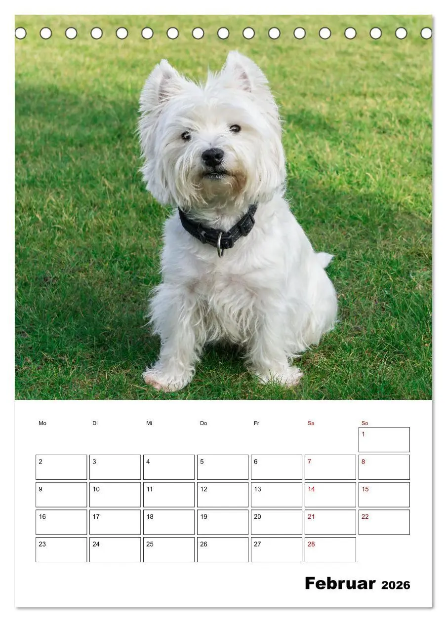 Bild: 9783516332018 | West Highland White Terrier - Herzensbrecher auf vier Pfoten...