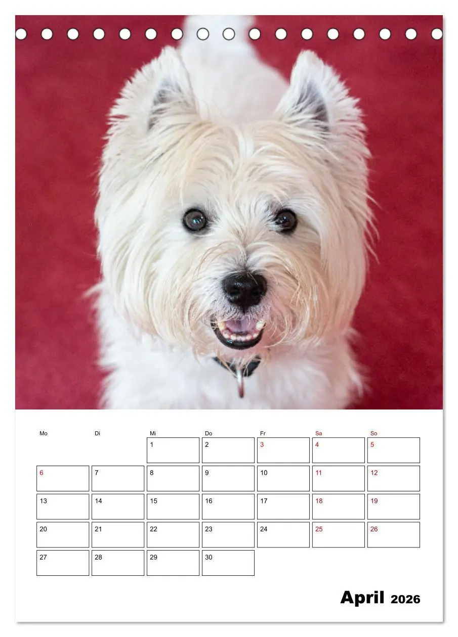 Bild: 9783516332018 | West Highland White Terrier - Herzensbrecher auf vier Pfoten...