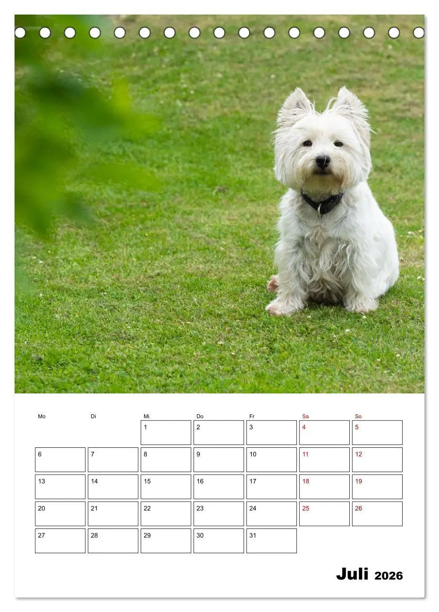 Bild: 9783516332018 | West Highland White Terrier - Herzensbrecher auf vier Pfoten...
