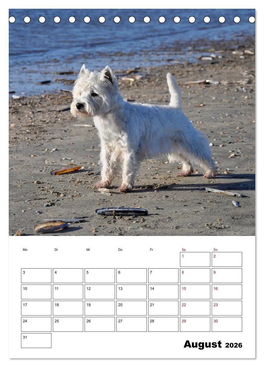 Bild: 9783516332018 | West Highland White Terrier - Herzensbrecher auf vier Pfoten...