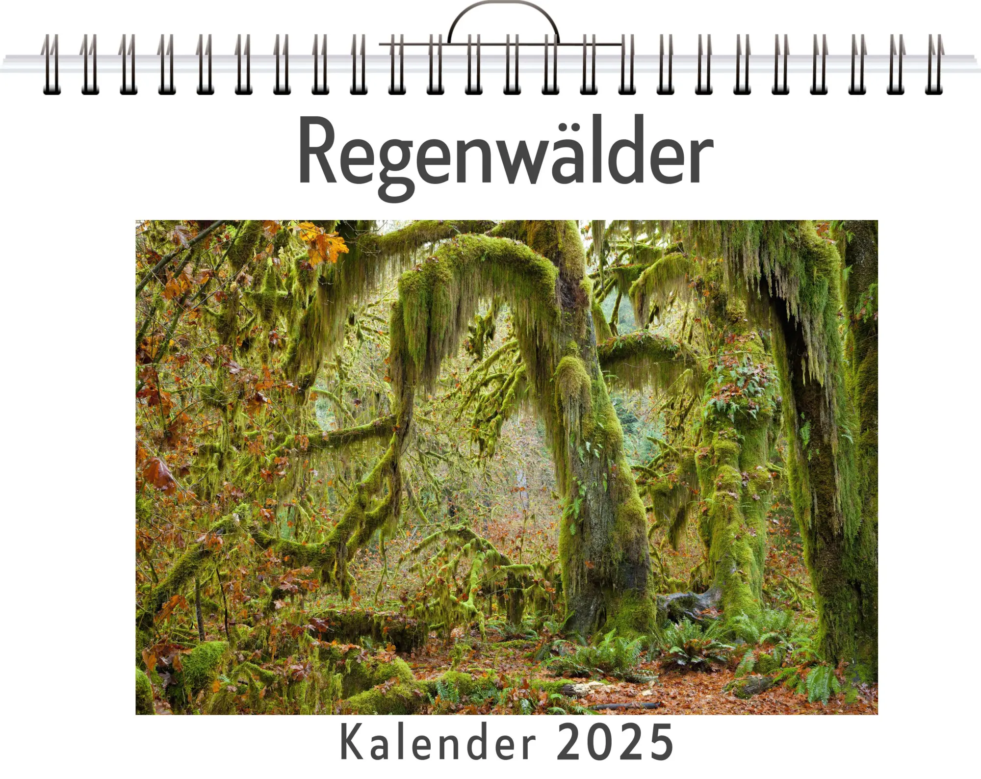 Cover: 9783759122018 | Regenwälder - (Wandkalender 2025, Kalender DIN A4 quer,...
