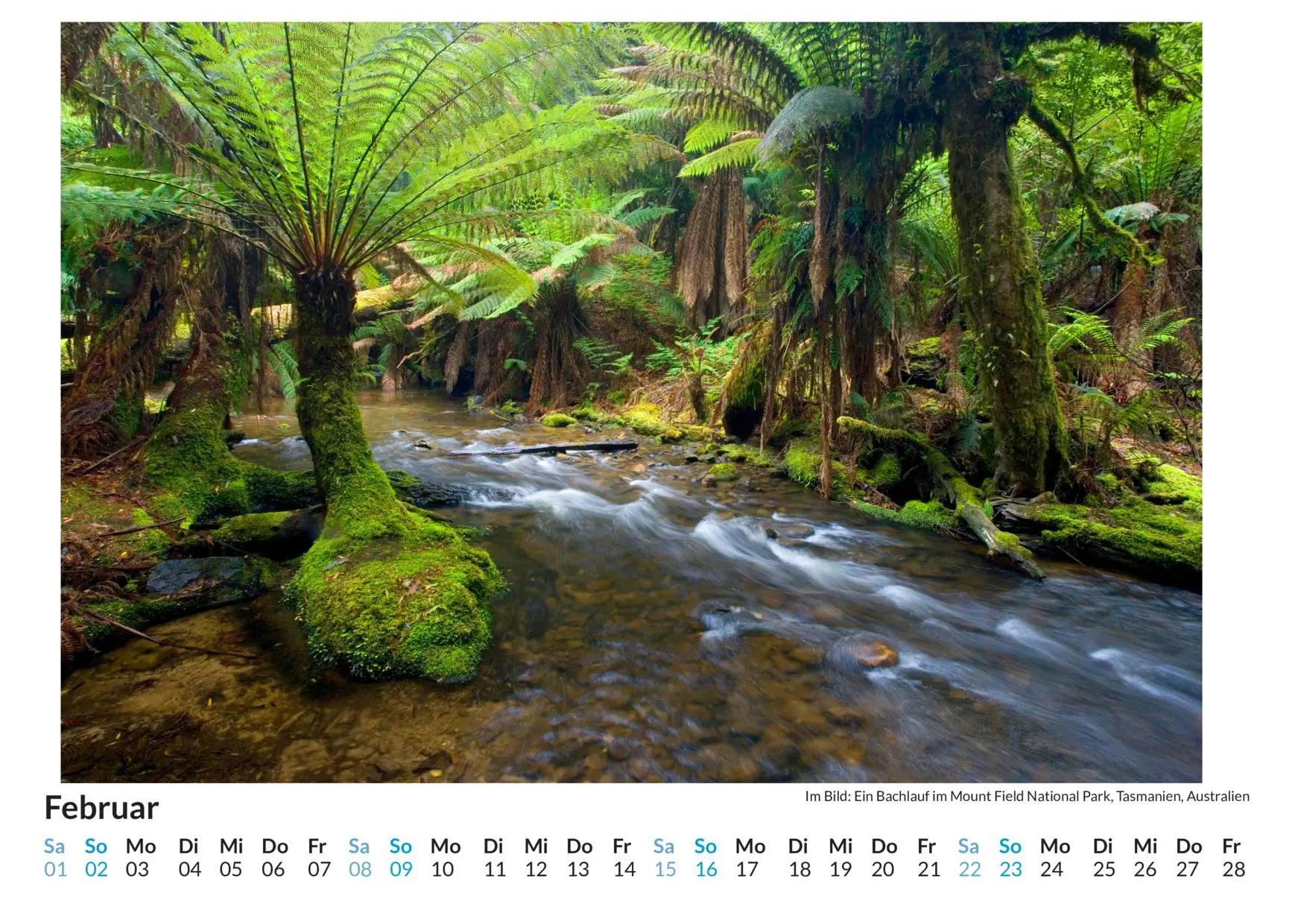 Bild: 9783759122018 | Regenwälder - (Wandkalender 2025, Kalender DIN A4 quer,...