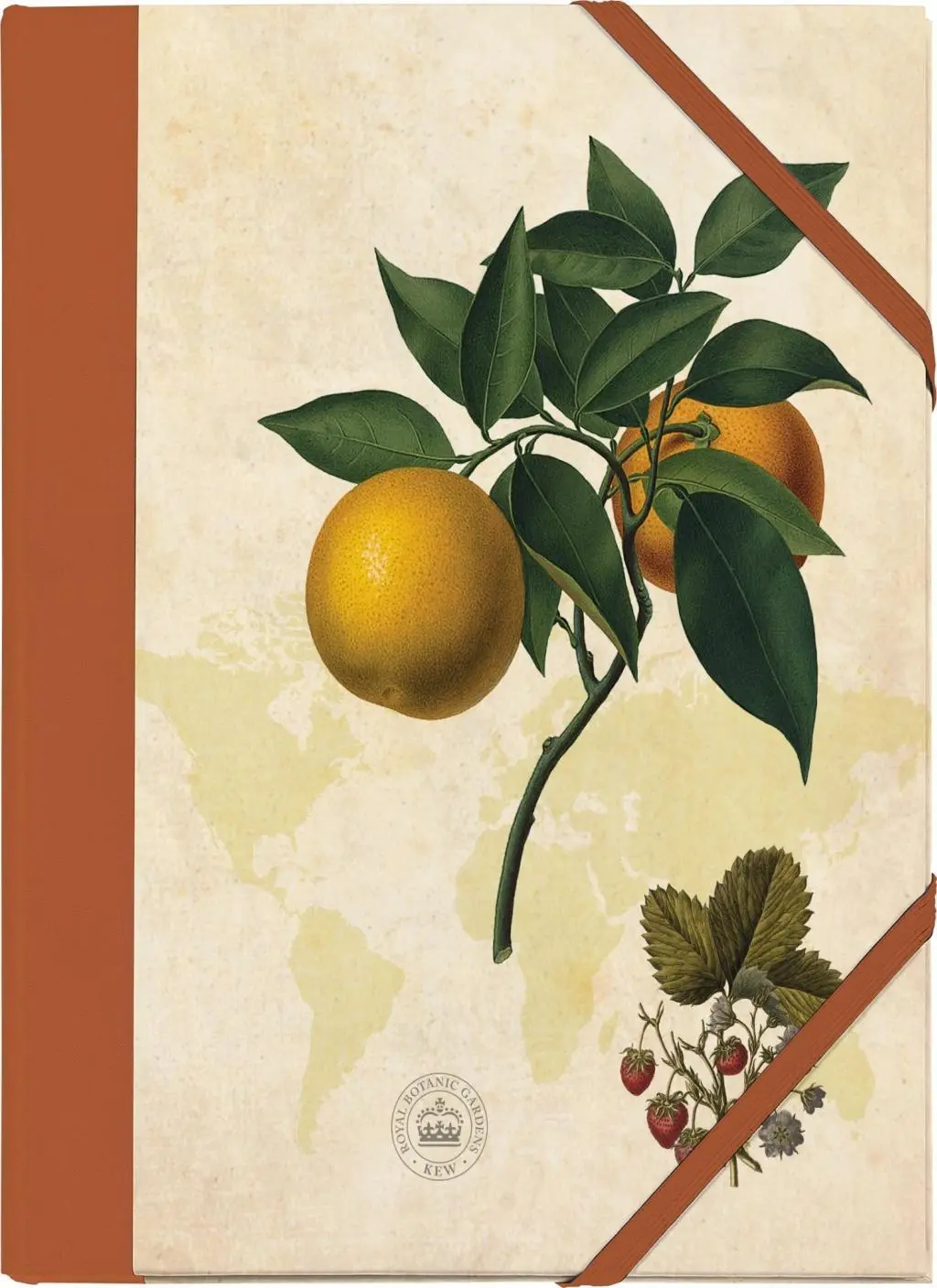 Cover: 4250915932118 | Kew Gardens Sammelmappe - Motiv: Orange | Stephan Schöll | Deutsch