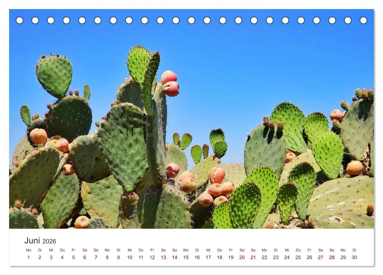 Bild: 9783457612118 | Mexiko - Eine Reise durch ein farbenfrohes Land. (Tischkalender...