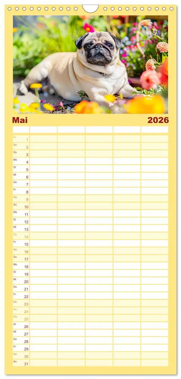 Bild: 9783516492118 | Familienplaner 2026 - Mops-Mania - Der Spaßkalender für Mops-Fans...