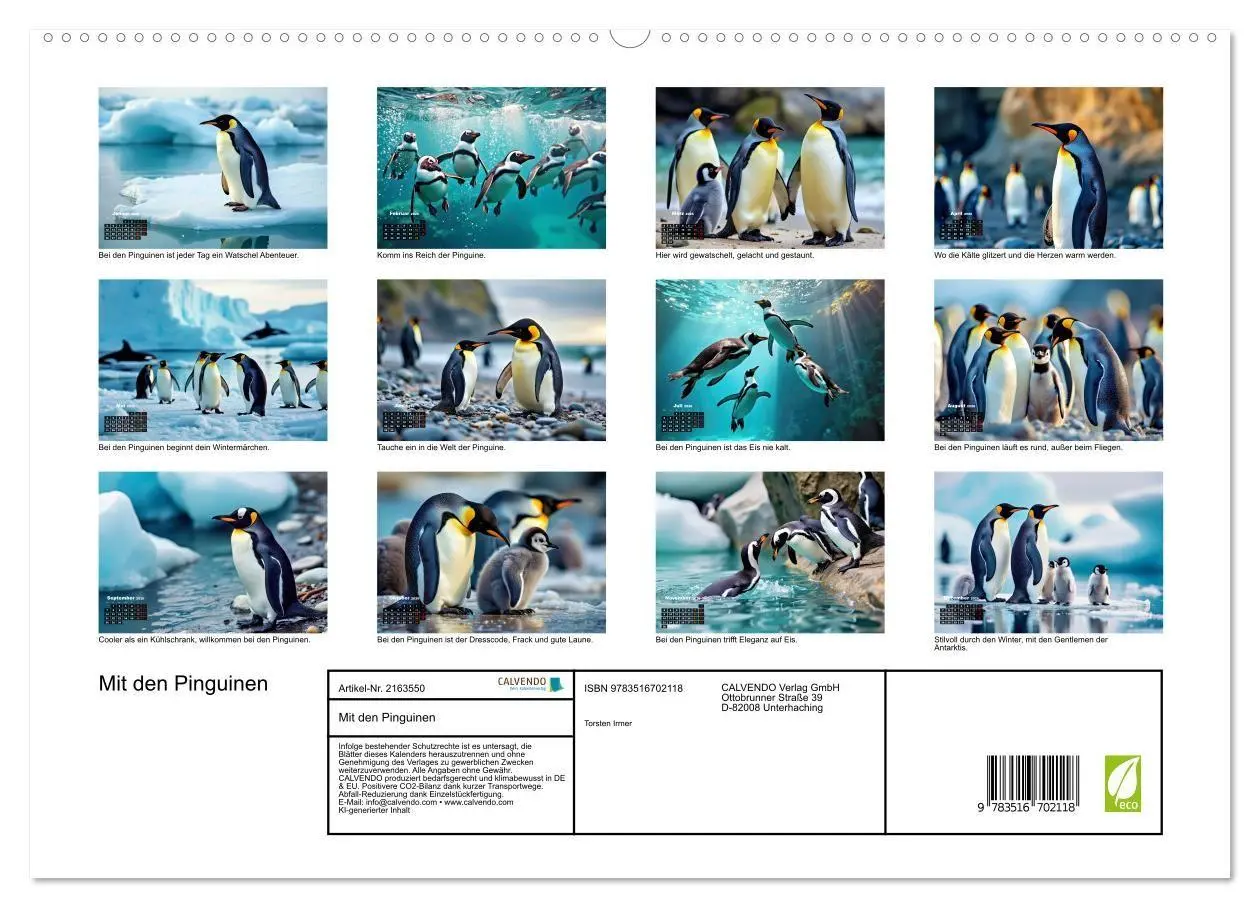 Bild: 9783516702118 | Mit den Pinguinen (hochwertiger Premium Wandkalender 2026 DIN A2...