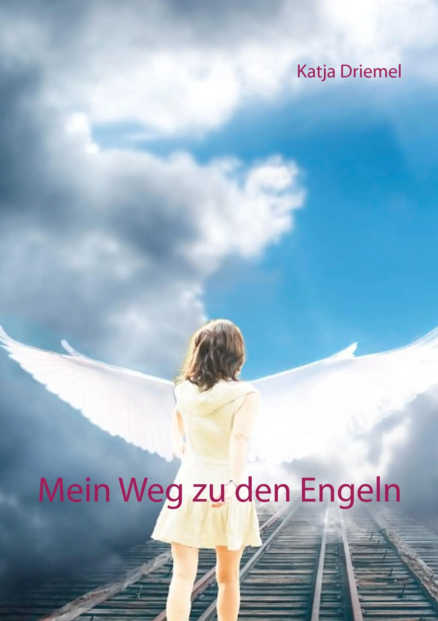 Cover: 9783739242118 | Mein Weg zu den Engeln | Katja Driemel | Taschenbuch | 56 S. | Deutsch