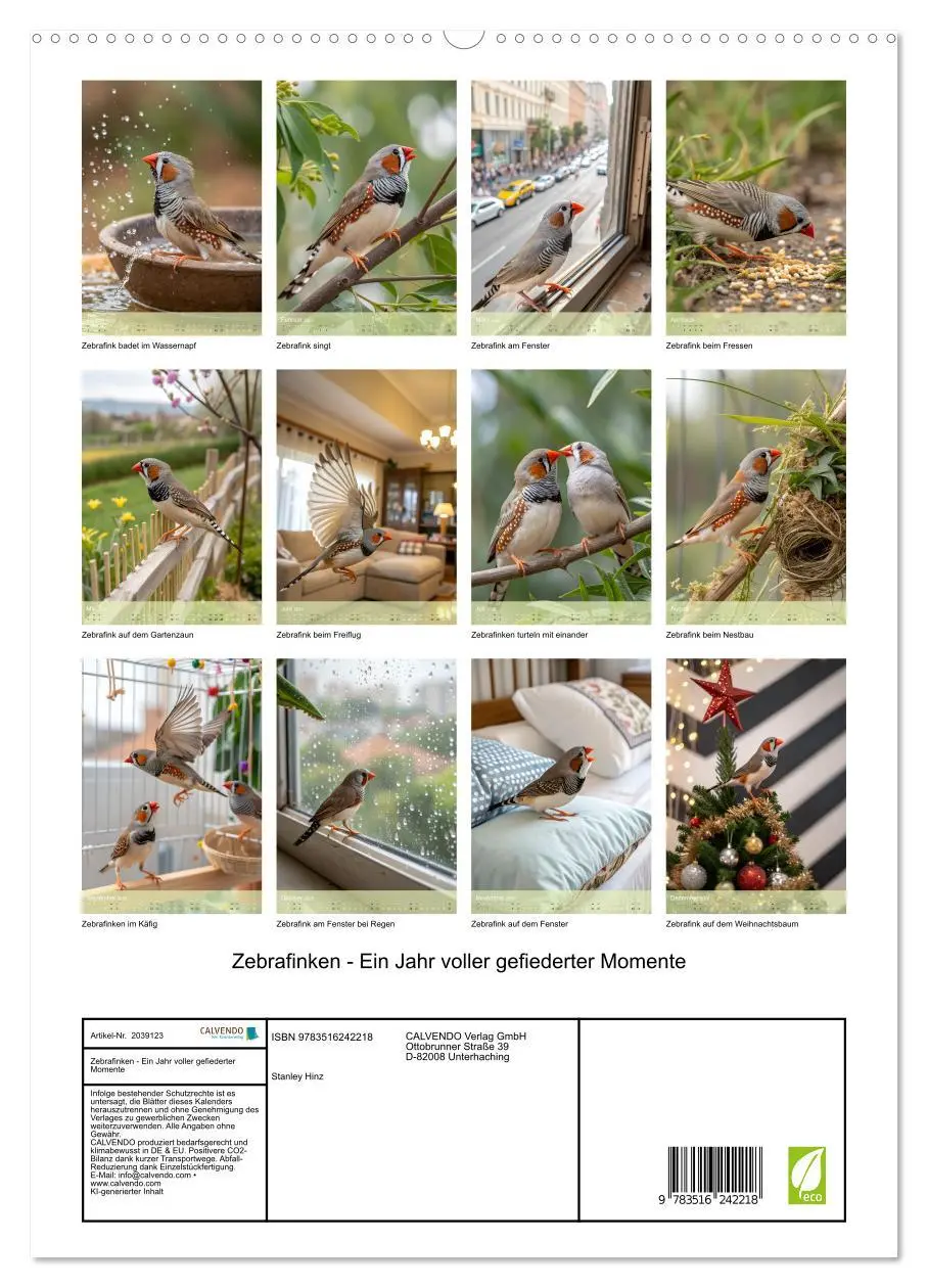 Bild: 9783516242218 | Zebrafinken - Ein Jahr voller gefiederter Momente (hochwertiger...