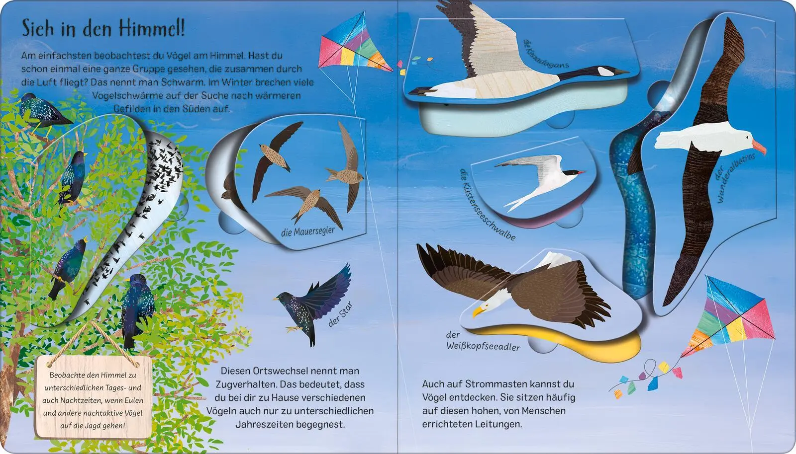Bild: 9783845852218 | Mit einem Ei fängt alles an | Die Welt der Vögel | Becky Davies | Buch