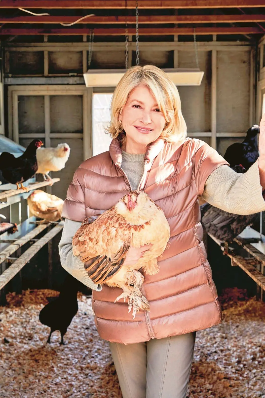 Autor: 9783831052318 | Martha. Das Kochbuch | Martha Stewart | Buch | 304 S. | Deutsch | 2026