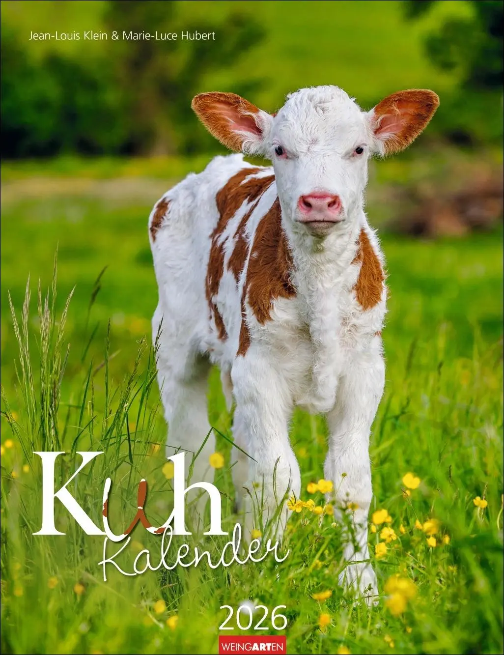 Cover: 9783839902318 | Kuh Kalender 2026 | Marie-Luce Hubert | Kalender | Spiralbindung