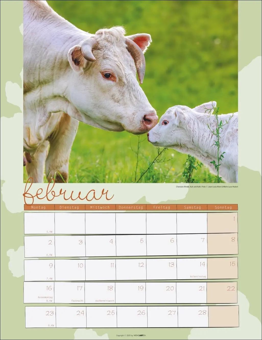 Bild: 9783839902318 | Kuh Kalender 2026 | Marie-Luce Hubert | Kalender | Spiralbindung