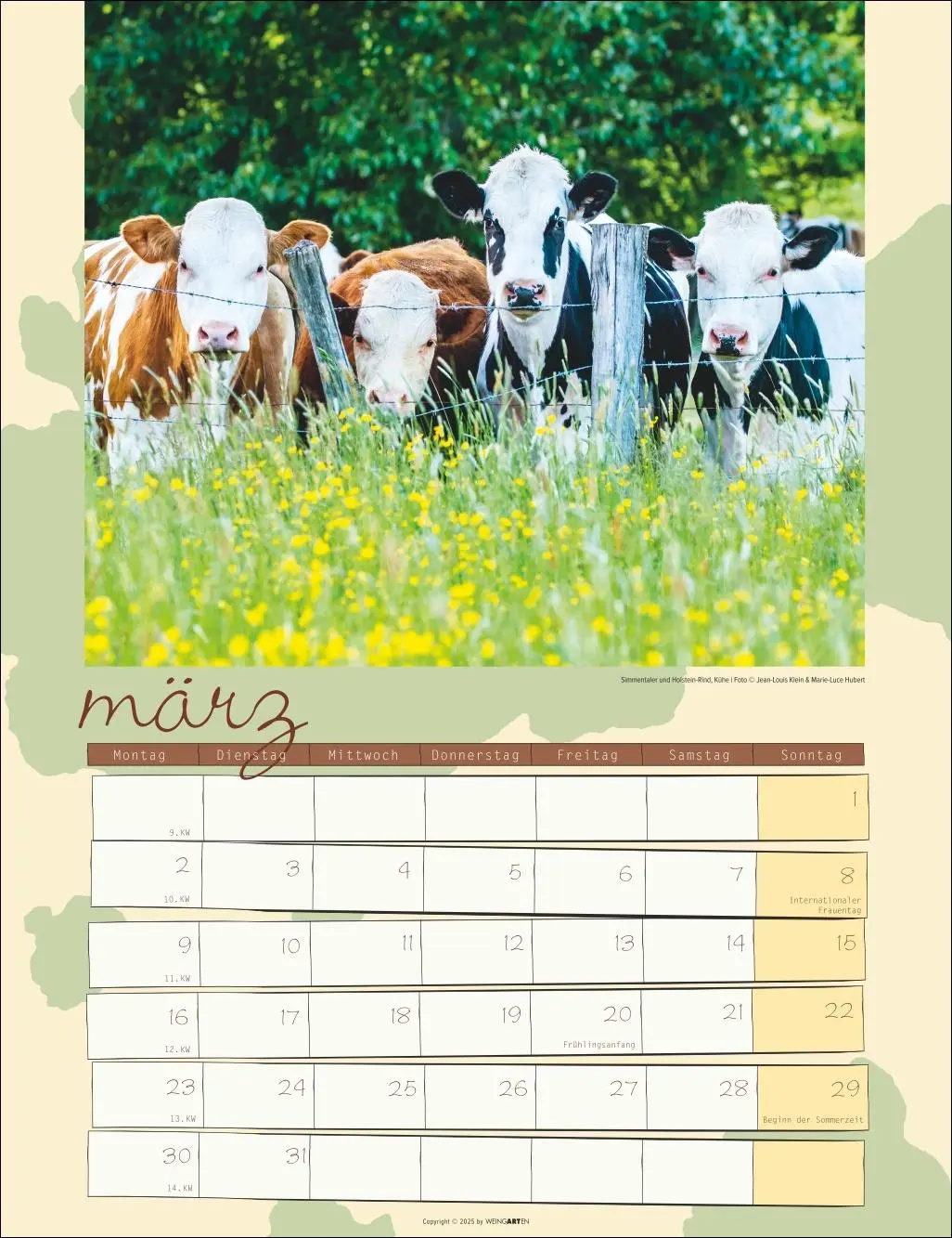 Bild: 9783839902318 | Kuh Kalender 2026 | Marie-Luce Hubert | Kalender | Spiralbindung