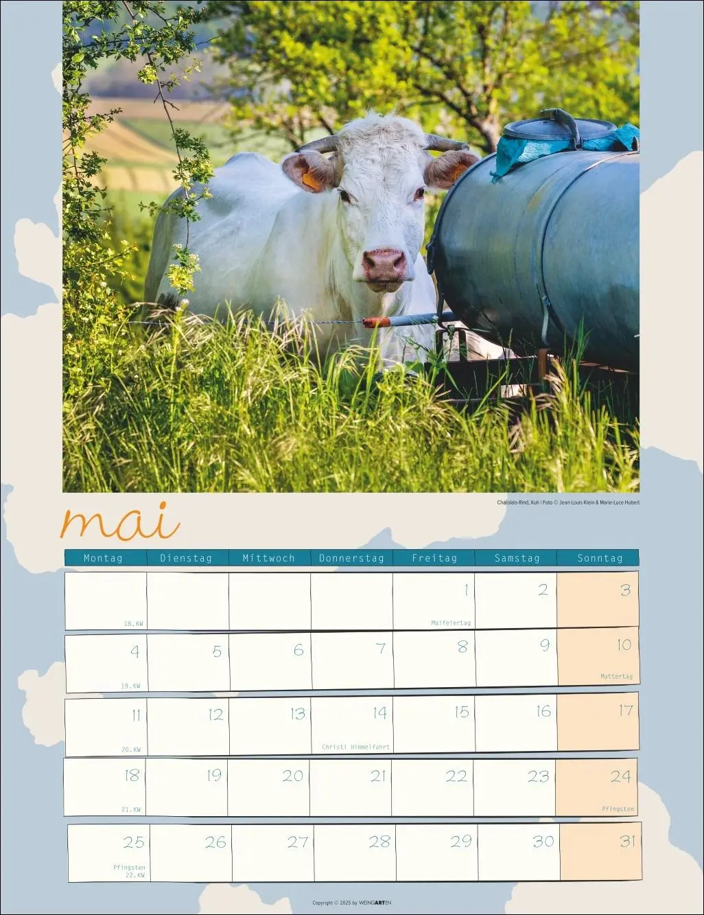 Bild: 9783839902318 | Kuh Kalender 2026 | Marie-Luce Hubert | Kalender | Spiralbindung