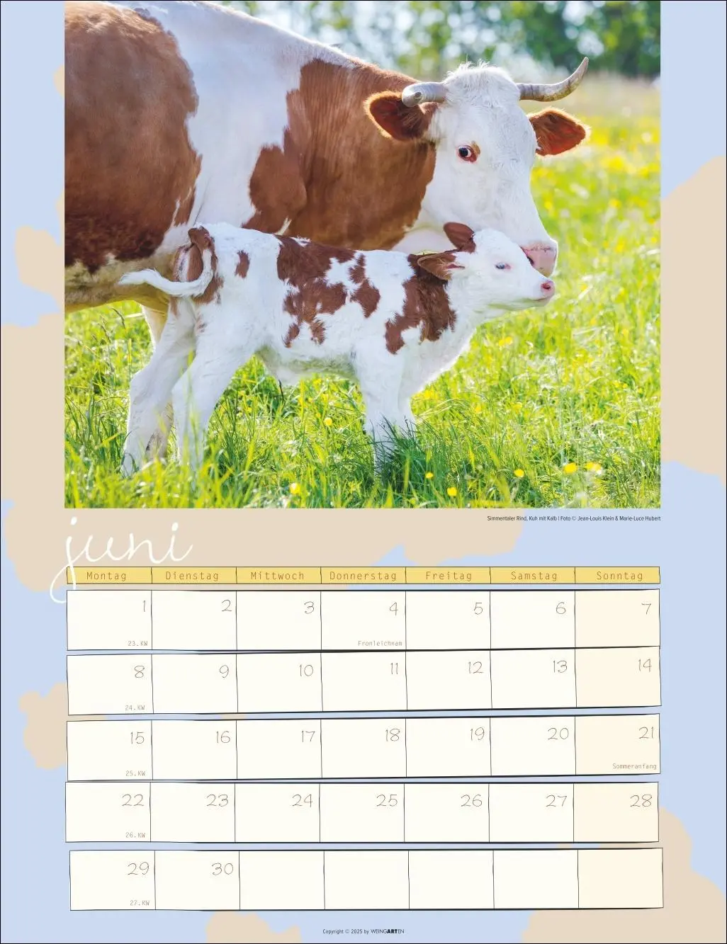Bild: 9783839902318 | Kuh Kalender 2026 | Marie-Luce Hubert | Kalender | Spiralbindung