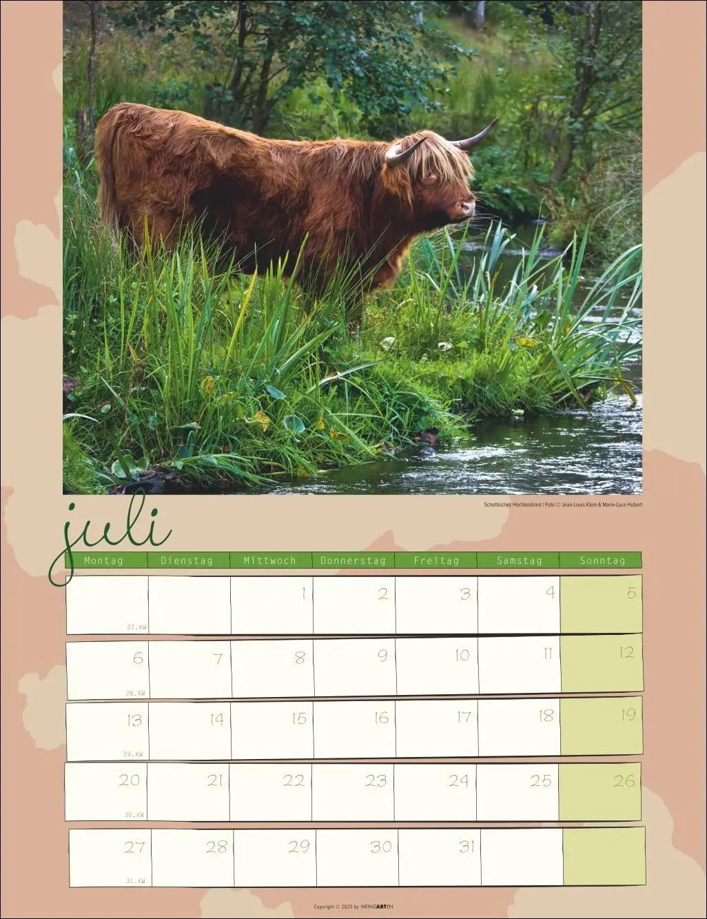 Bild: 9783839902318 | Kuh Kalender 2026 | Marie-Luce Hubert | Kalender | Spiralbindung