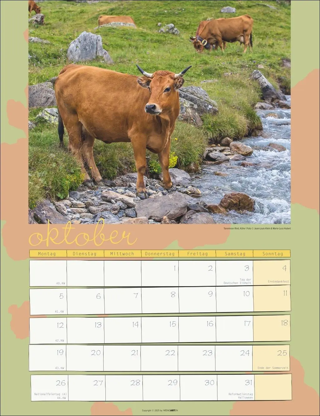 Bild: 9783839902318 | Kuh Kalender 2026 | Marie-Luce Hubert | Kalender | Spiralbindung