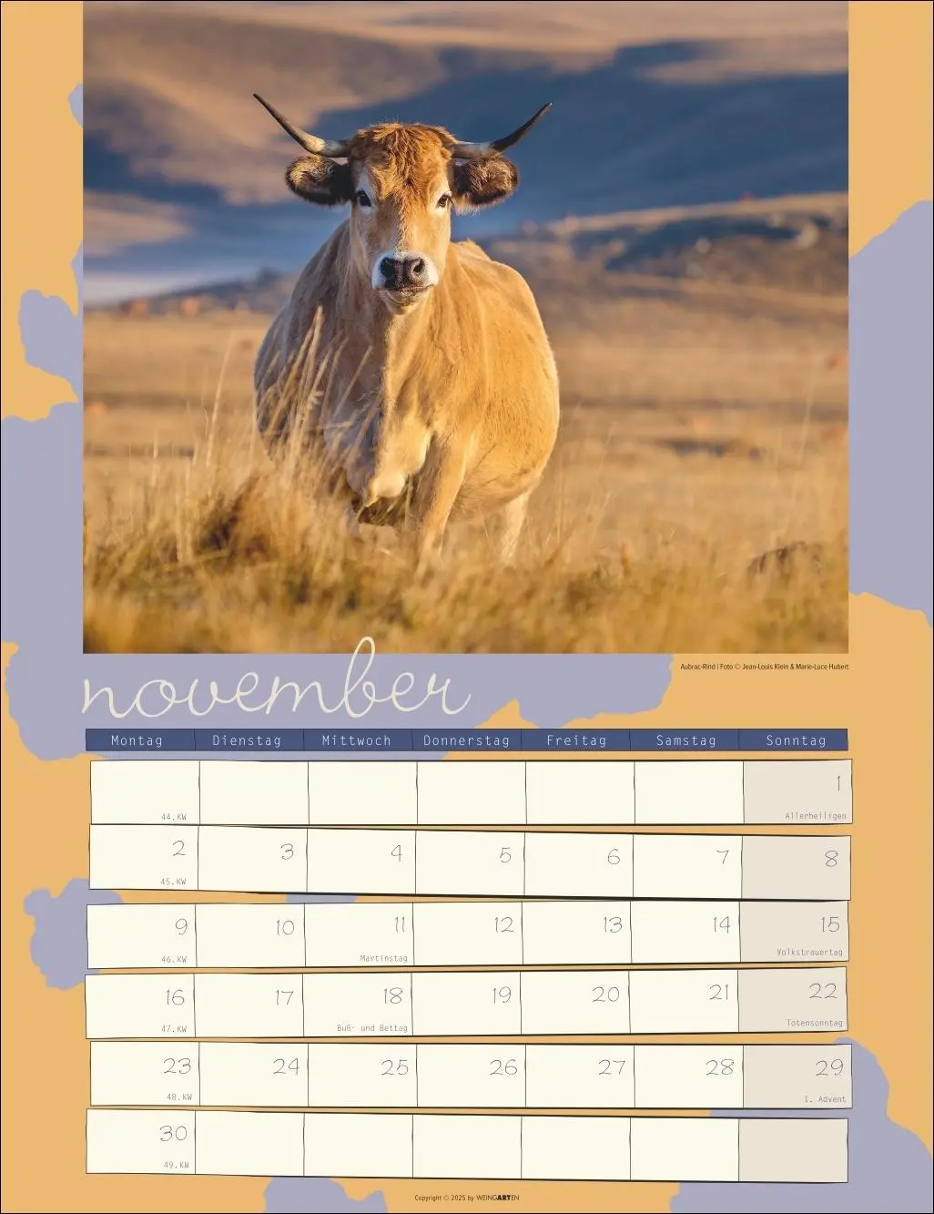 Bild: 9783839902318 | Kuh Kalender 2026 | Marie-Luce Hubert | Kalender | Spiralbindung