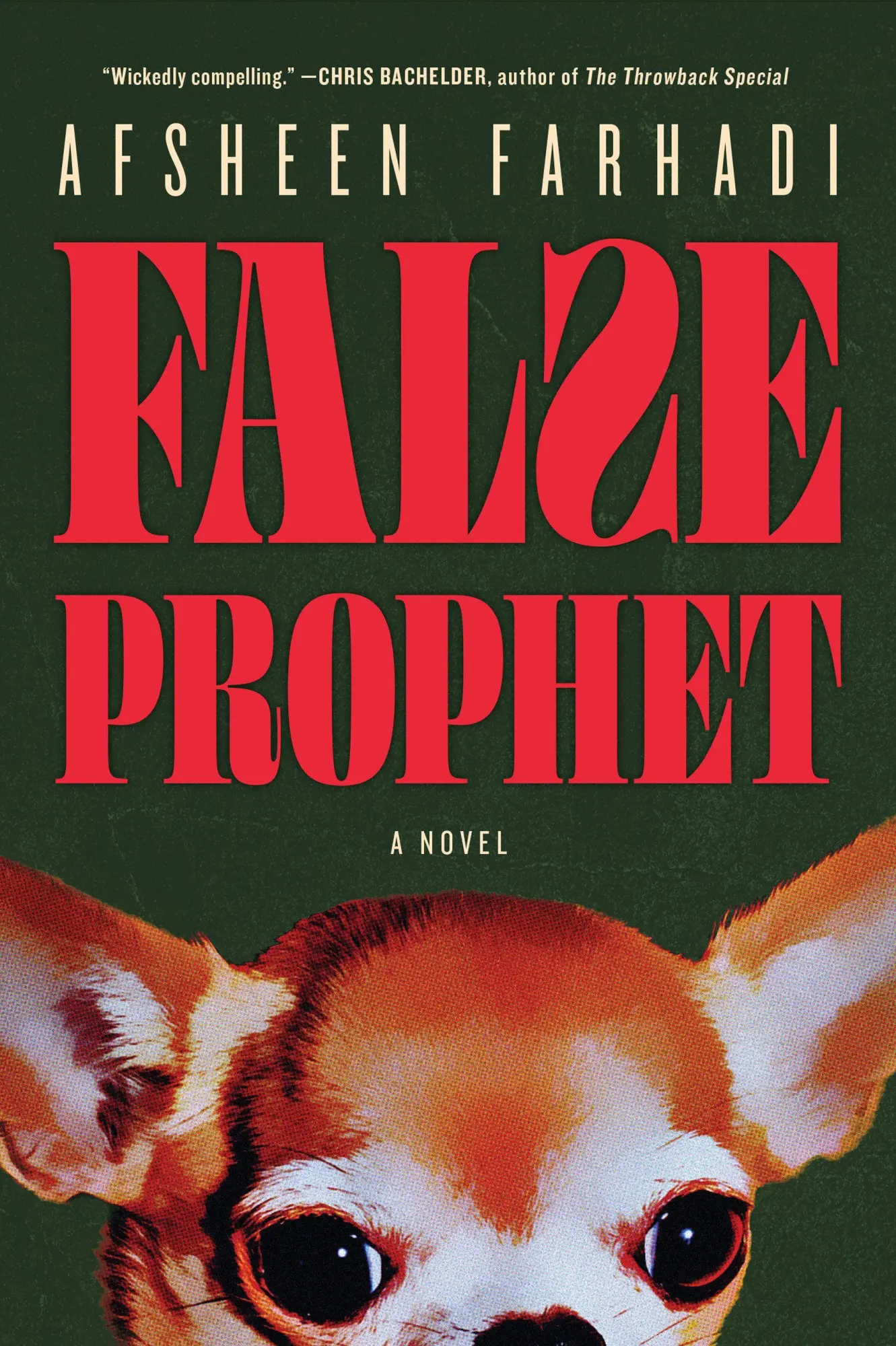 Cover: 9781685892418 | False Prophet | Afsheen Farhadi | Taschenbuch | Englisch | 2026