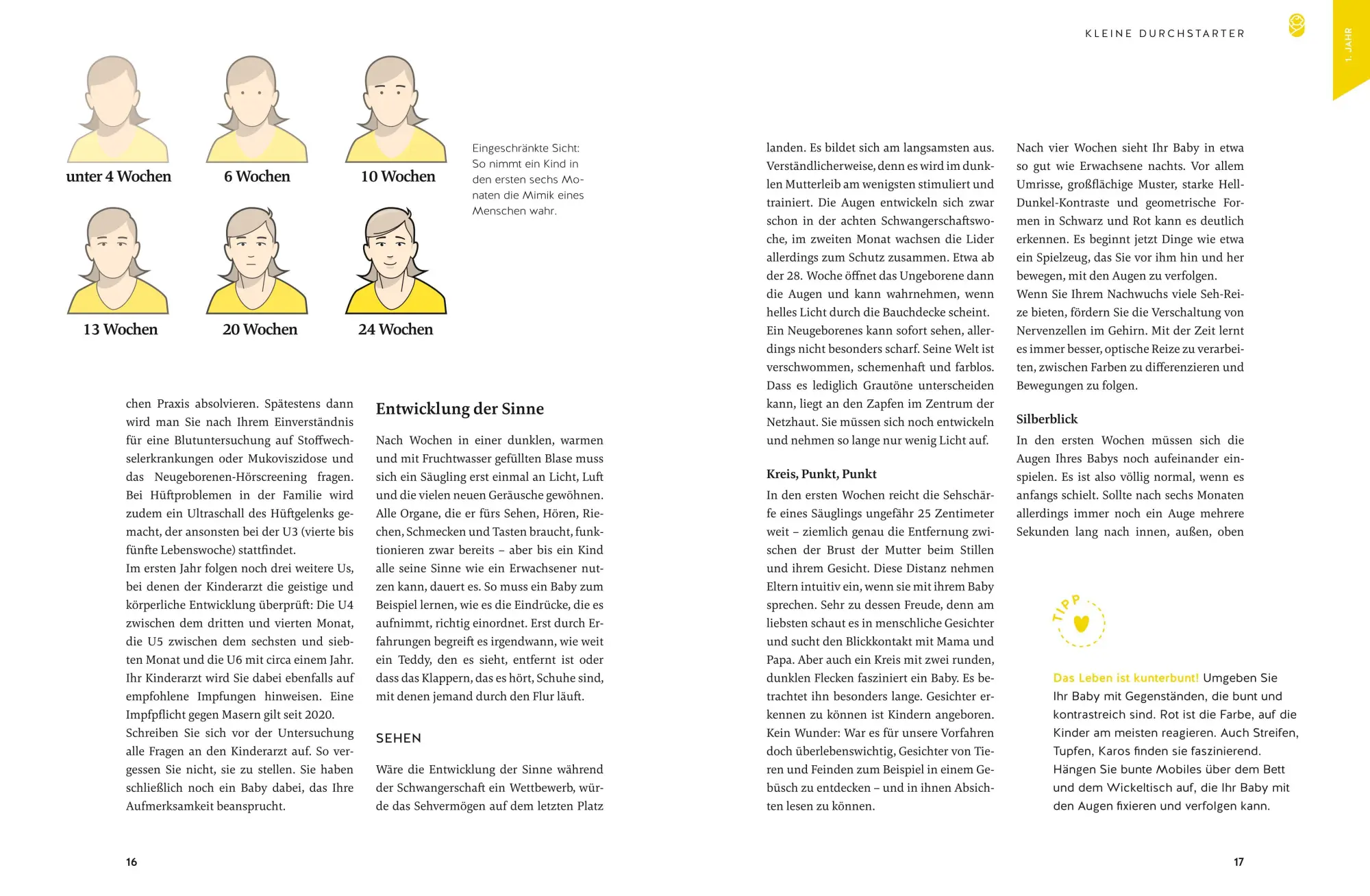 Bild: 9783833882418 | Kinderentwicklung | So gelingt der Alltag in jeder Lebensphase | Buch