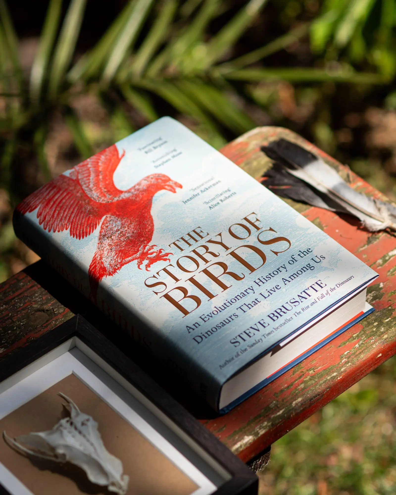 Bild: 9781035032518 | The Story of Birds | Steve Brusatte | Buch | Englisch | 2026