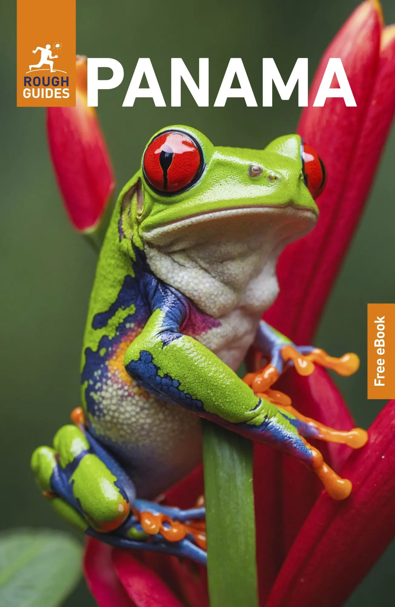 Cover: 9781835292518 | Rough Guides Panama: Travel Guide with eBook | Rough Guides (u. a.)