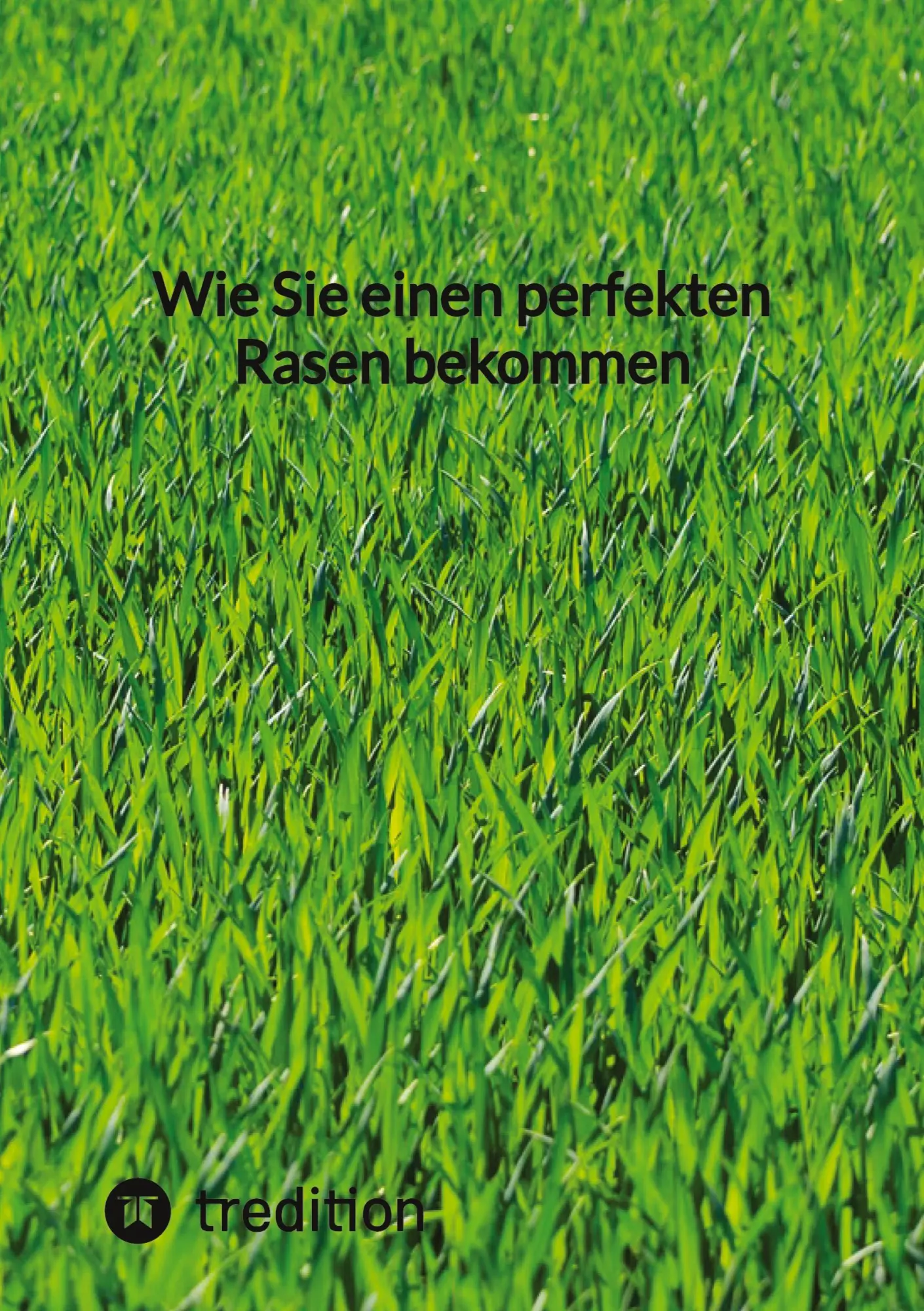 Cover: 9783347852518 | Wie Sie einen perfekten Rasen bekommen | Moritz | Taschenbuch | 60 S.