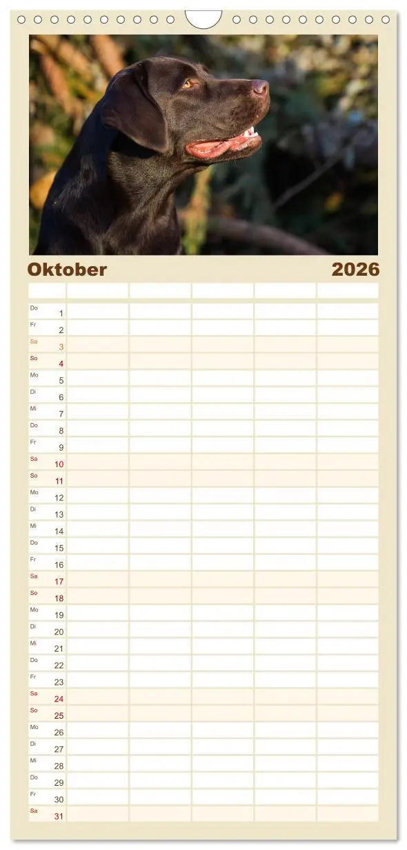 Bild: 9783516522518 | Familienplaner 2026 - Labrador Retriever - Freunde für´s Leben mit...
