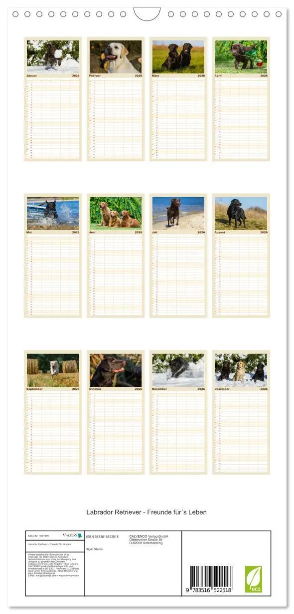 Bild: 9783516522518 | Familienplaner 2026 - Labrador Retriever - Freunde für´s Leben mit...