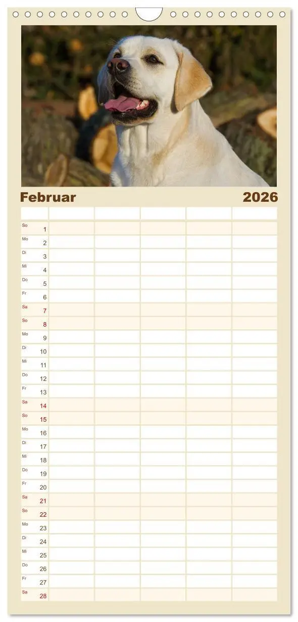 Bild: 9783516522518 | Familienplaner 2026 - Labrador Retriever - Freunde für´s Leben mit...